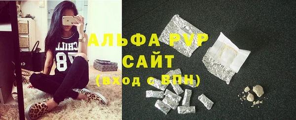 индика Красноперекопск